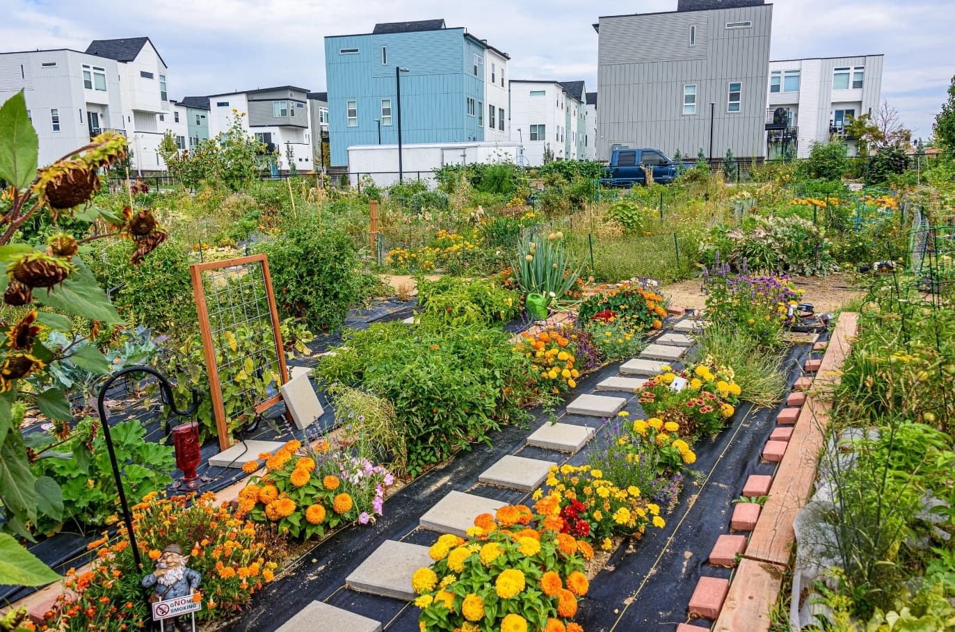 Promotion de la biodiversité