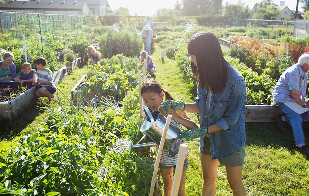 Bénéfices du jardinage urbain pour l'environnement